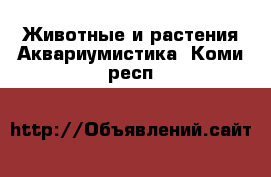 Животные и растения Аквариумистика. Коми респ.